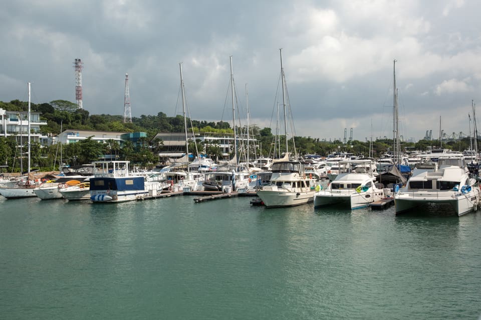 Masted sailing yachts, motor cruisers and a white catamaran moored side by side along a marina pontoon under an overcast sky